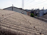珪藻土 無垢材 自然素材リフォームの日吉プラス：屋根リフォーム